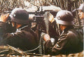 mg42 soldiers helmets Vintage world war A4 Photo Print