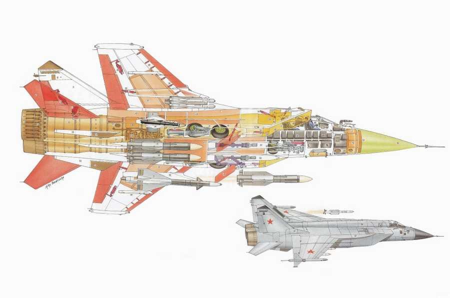 mig31 cutaway A4 Photo Print