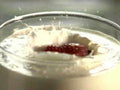 milk splash strawberry1980s 1990s A4 Photo Print