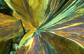mineral crystal birefringence Vintage A4 Photo Print