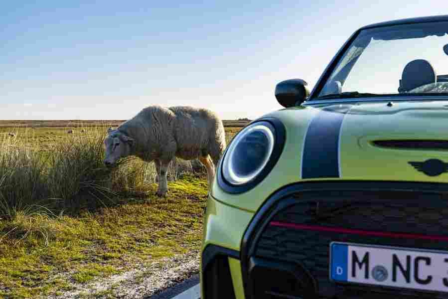 mini cooper s convertible 2021 7001 120 Car A4 Photo Print