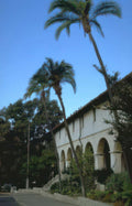 mission san capistrano 1 Vintage A4 Photo Print