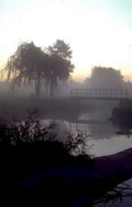 misty footbridge willow Vintage A4 Photo Print