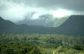 misty hawaiian mountains Vintage A4 Photo Print