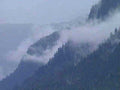 misty mountains forest1980s 1990s A4 Photo Print
