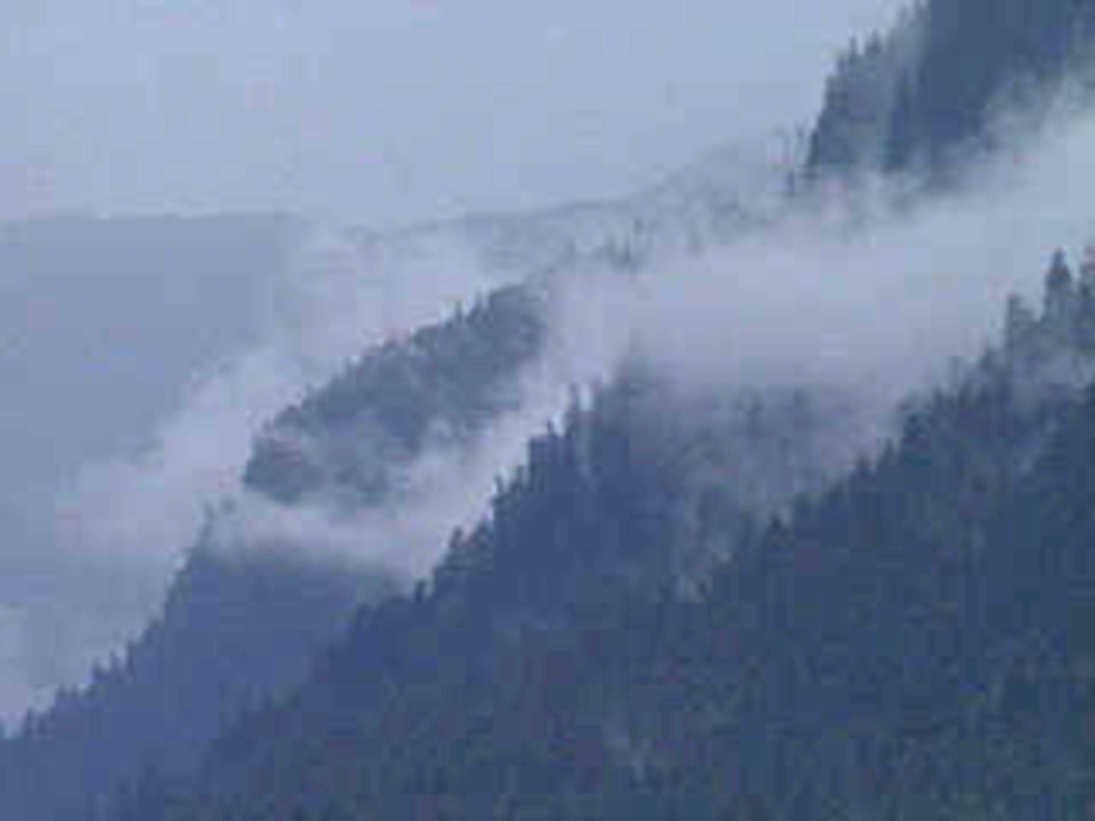 misty mountains forest1980s 1990s A4 Photo Print