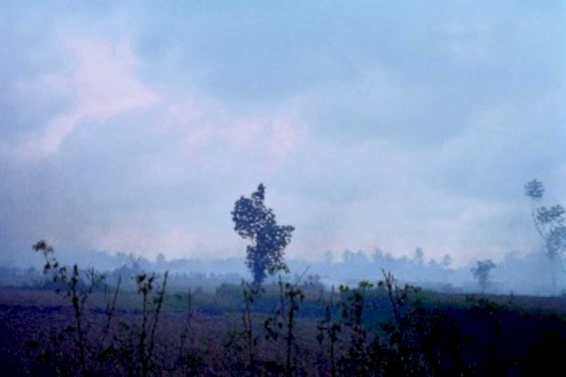misty rural scene1980s 1990s A4 Photo Print