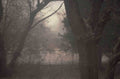 misty woods fence 1980s 1990s A4 Photo Print