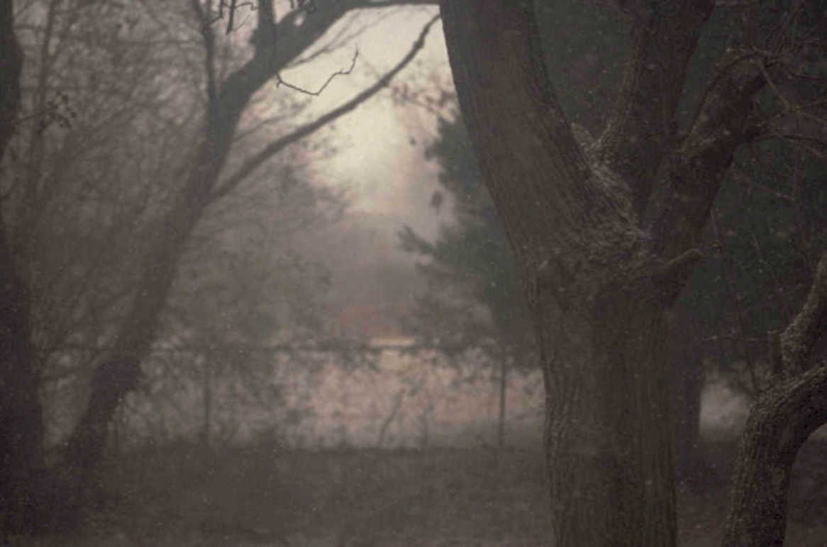 misty woods fence 1980s 1990s A4 Photo Print