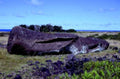 moai statue 14861980s 1990s A4 Photo Print