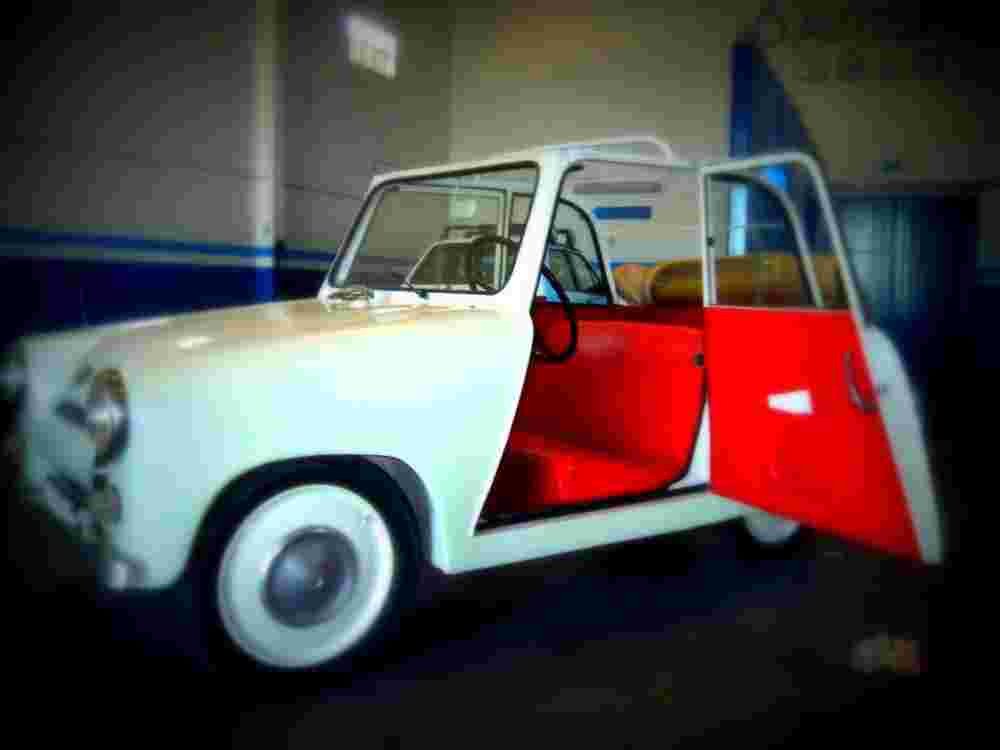 mochet1 A4 Photo Print