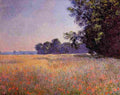 mon Poppy Field Giverny Art A4 Photo Print