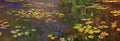 monet nympheas Art A4 Photo Print