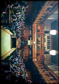 monkey parliament A4 Photo Print