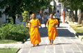 monks pathway laos Vintage A4 Photo Print