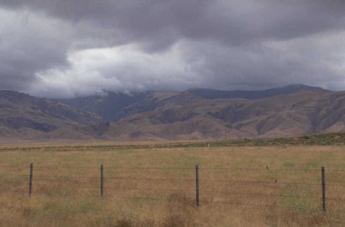 montana grass hills 1980s 1990s A4 Photo Print
