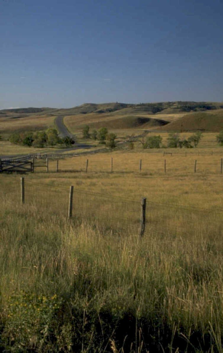 montana hills summer 1980s 1990s A4 Photo Print