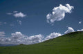 montana meadow 2023 1980s 1990s A4 Photo Print