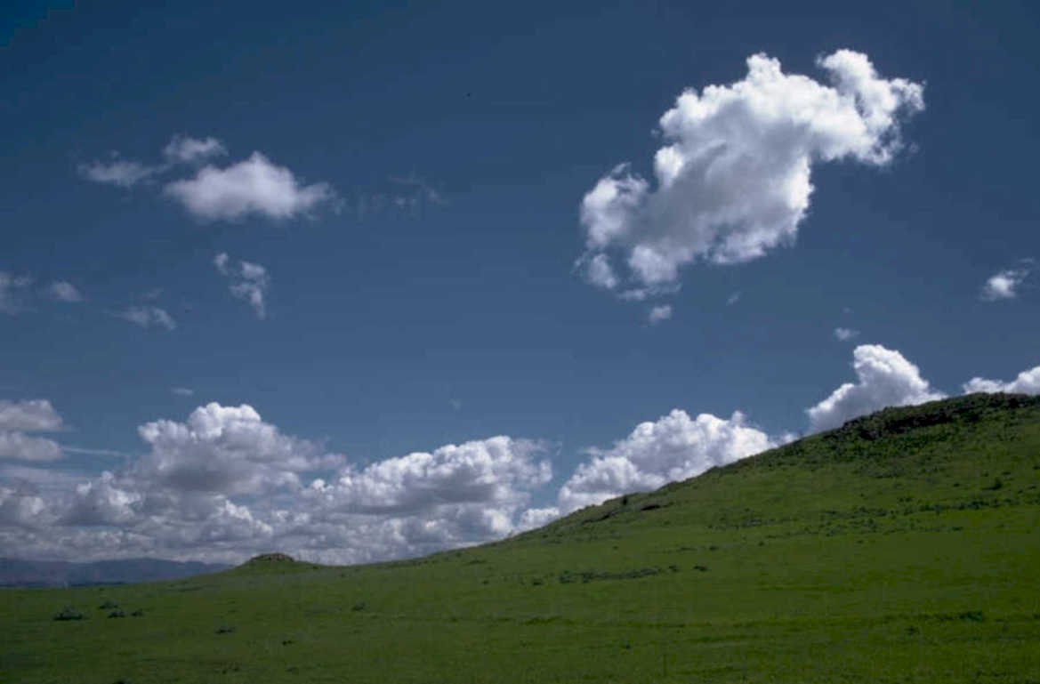 montana meadow 2023 1980s 1990s A4 Photo Print