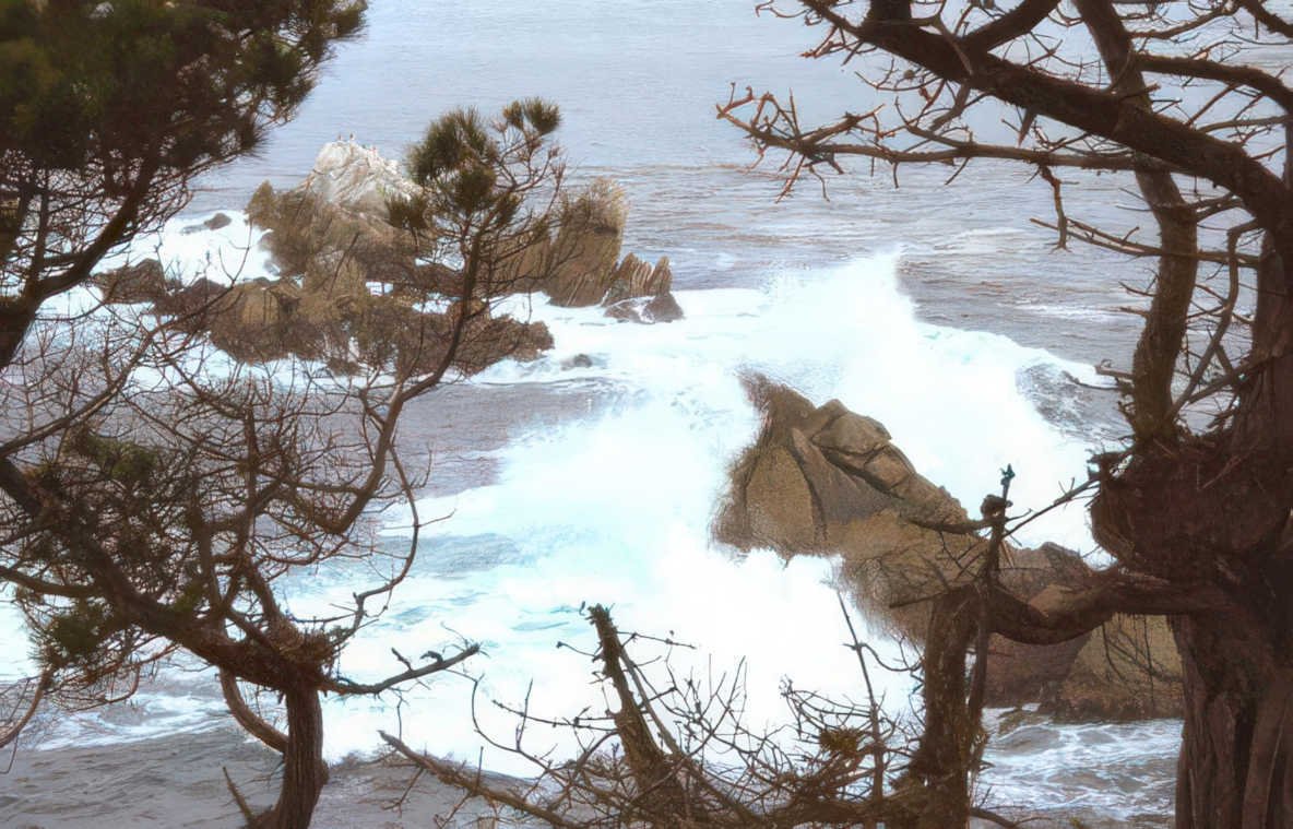 monterey cypress wave Vintage A4 Photo Print