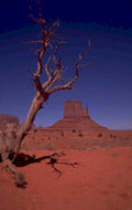 monument valley dead 1980s 1990s A4 Photo Print