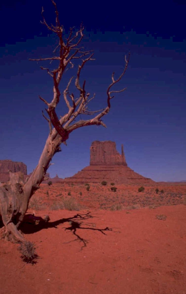 monument valley dead 1980s 1990s A4 Photo Print