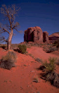 monument valley hoodoos 1980s 1990s A4 Photo Print