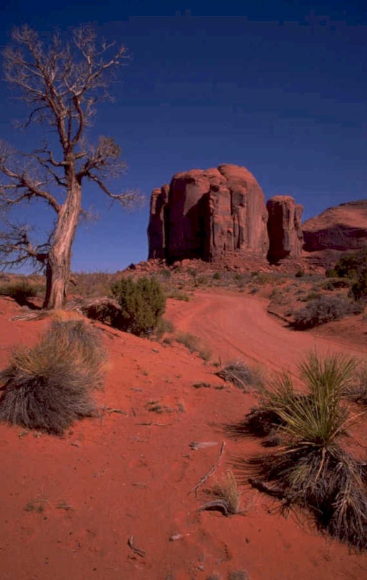 monument valley hoodoos 1980s 1990s A4 Photo Print