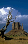 monument valley scape 1980s 1990s A4 Photo Print 42