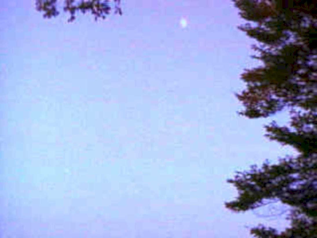 moonrise trees blue1980s 1990s A4 Photo Print