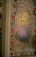 mosaic peacock art 1980s 1990s A4 Photo Print