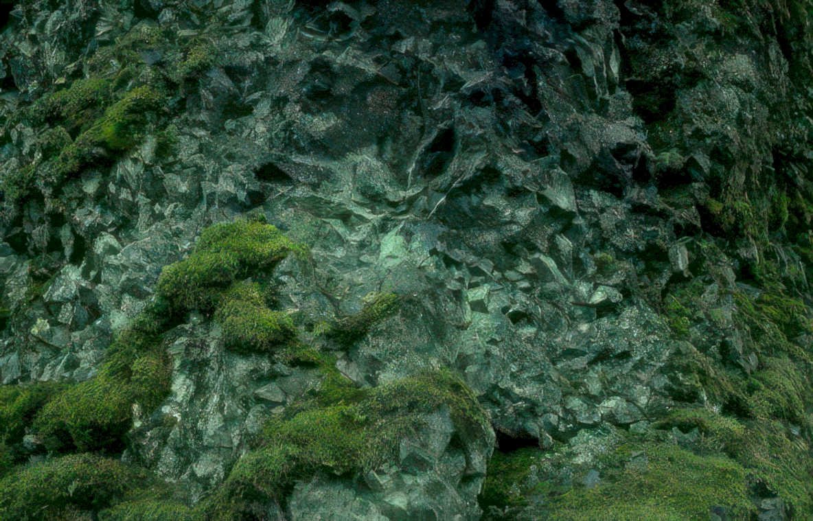moss rock face Vintage A4 Photo Print
