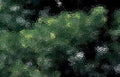 moss rock texture