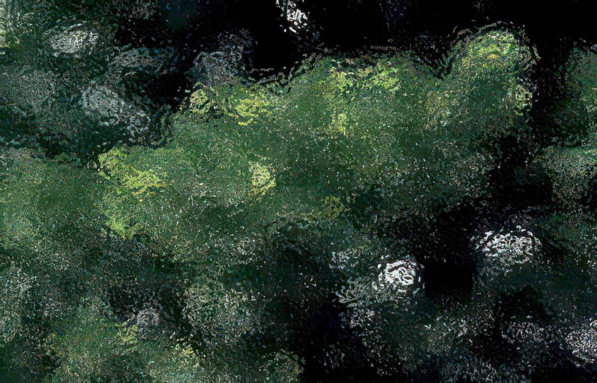 moss rock texture