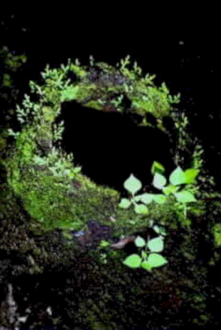 moss well night1980s 1990s A4 Photo Print