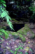 mossy stone sinkhole1980s 1990s A4 Photo Print