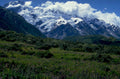 mount cook meadow 1980s 1990s A4 Photo Print 42