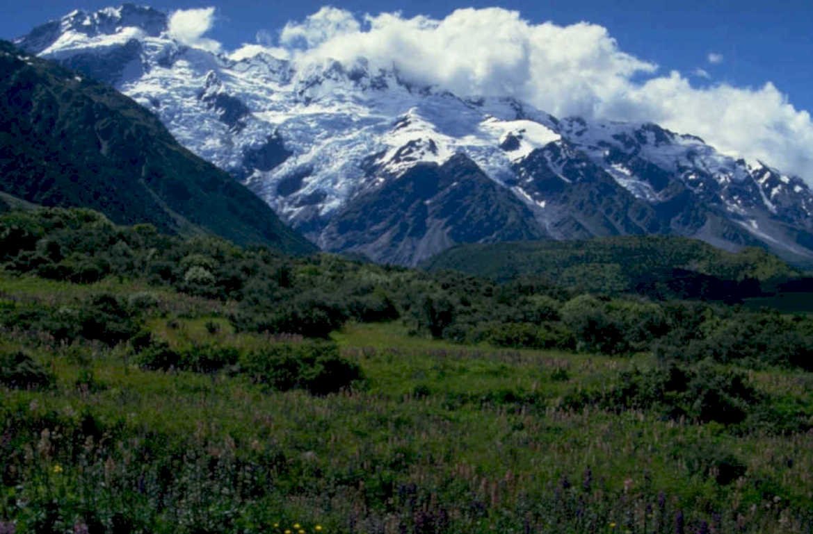 mount cook meadow 1980s 1990s A4 Photo Print 42