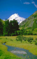 mount cook meadow 1980s 1990s A4 Photo Print