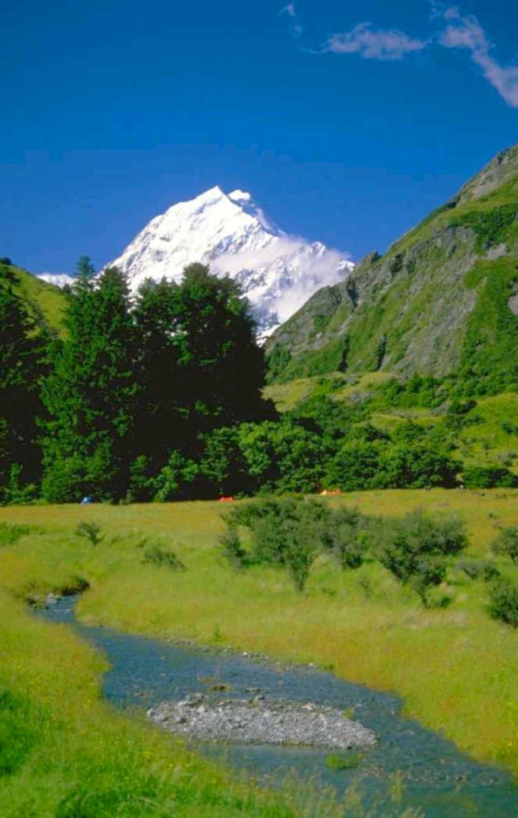 mount cook meadow 1980s 1990s A4 Photo Print