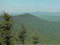 mount mitchell landscape1980s 1990s A4 Photo Print