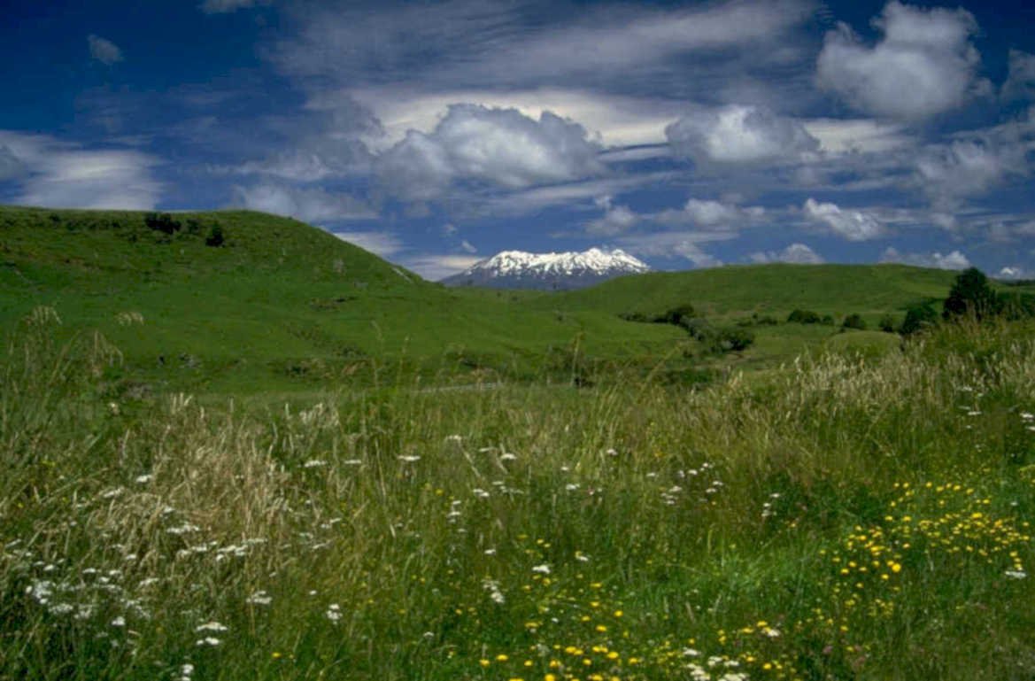 mount ngauruhoe meadow 1980s 1990s A4 Photo Print