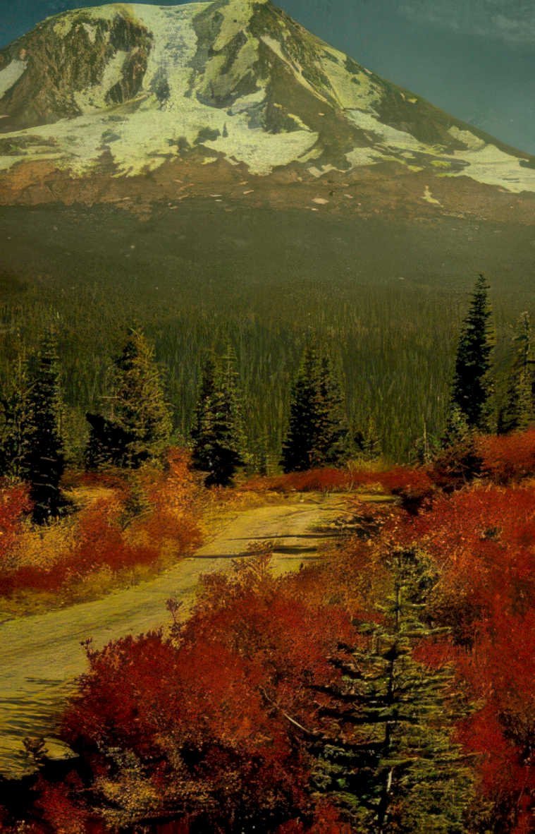 mount rainier autumn Vintage A4 Photo Print