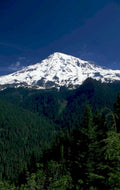 mount rainier landscape 2 1980s 1990s A4 Photo Print