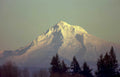 mount rainier sunrise Vintage A4 Photo Print