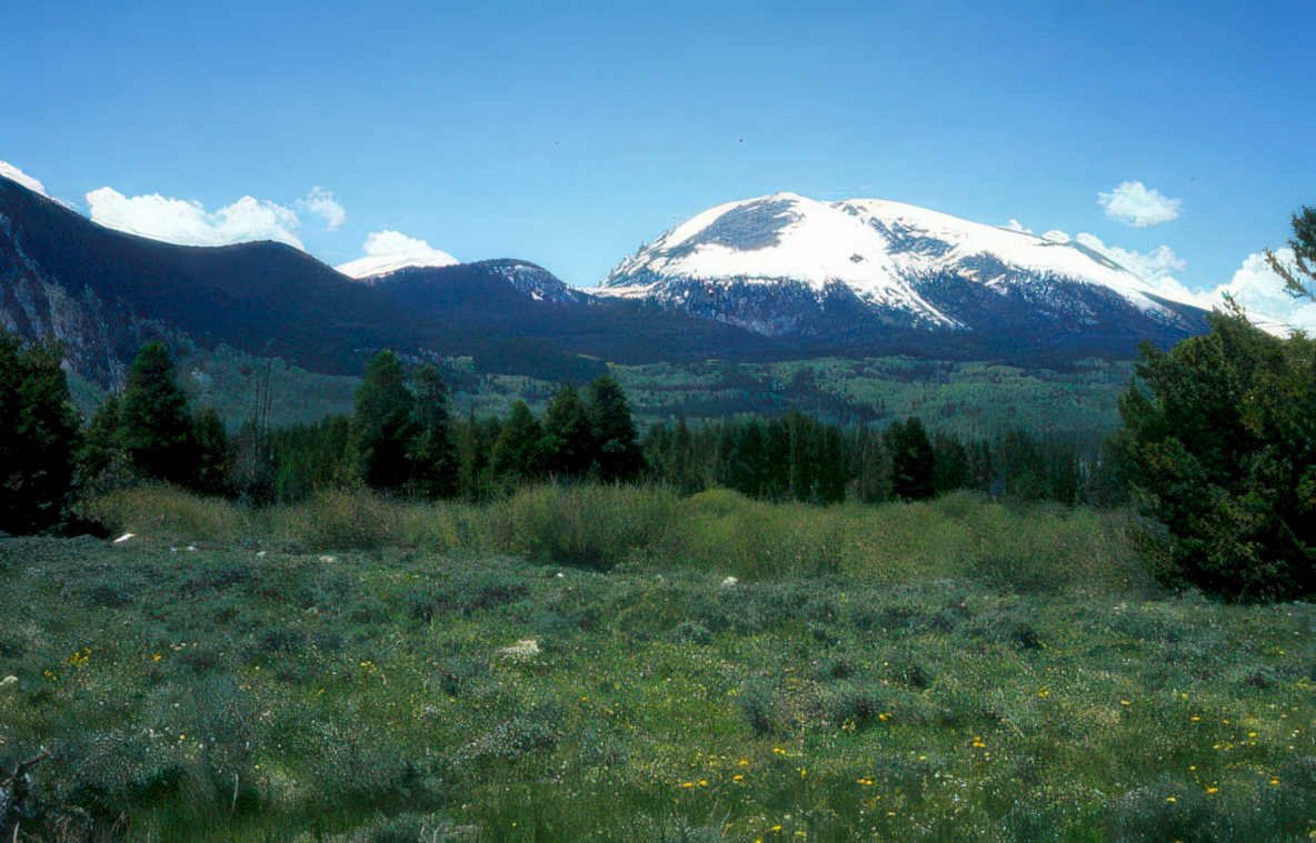 mount washburn yellowstone Vintage A4 Photo Print