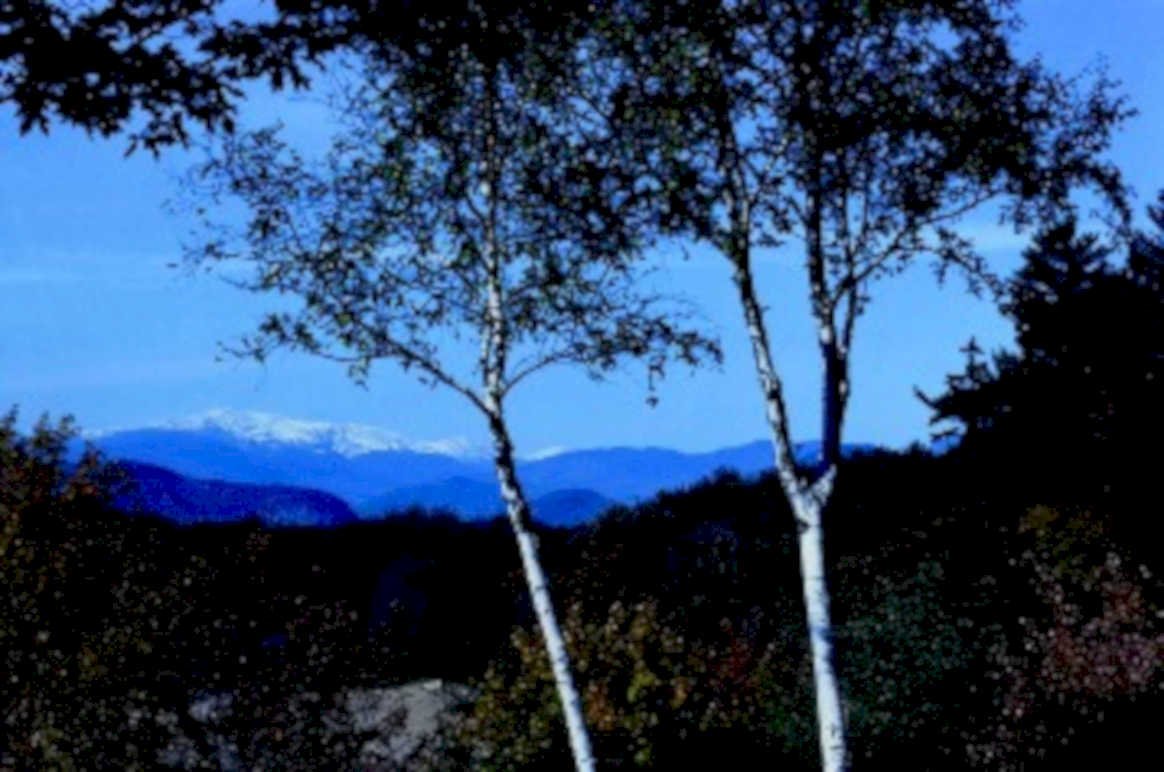 mountain aspen fall1980s 1990s A4 Photo Print