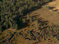 mountain autumn trees1980s 1990s A4 Photo Print