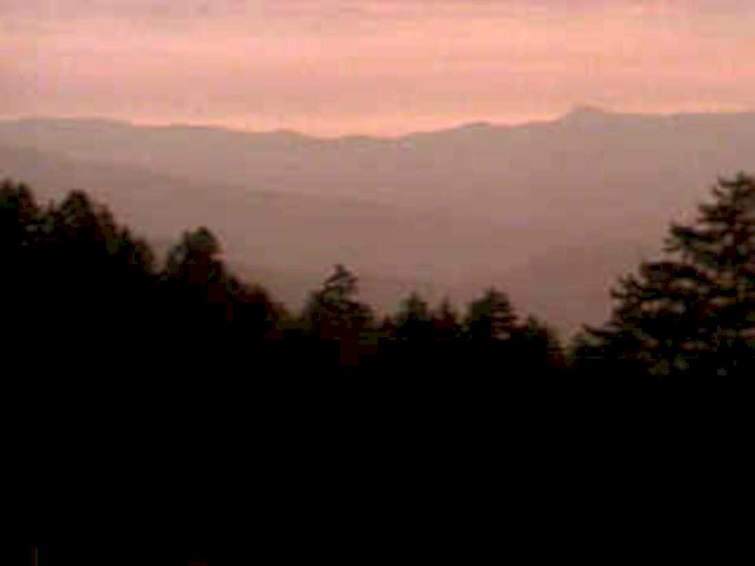mountain dusk trees1980s 1990s A4 Photo Print