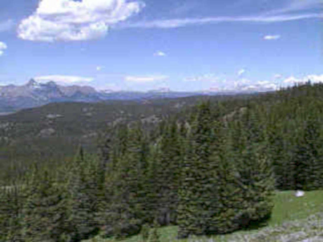 mountain evergreen meadows1980s 1990s A4 Photo Print